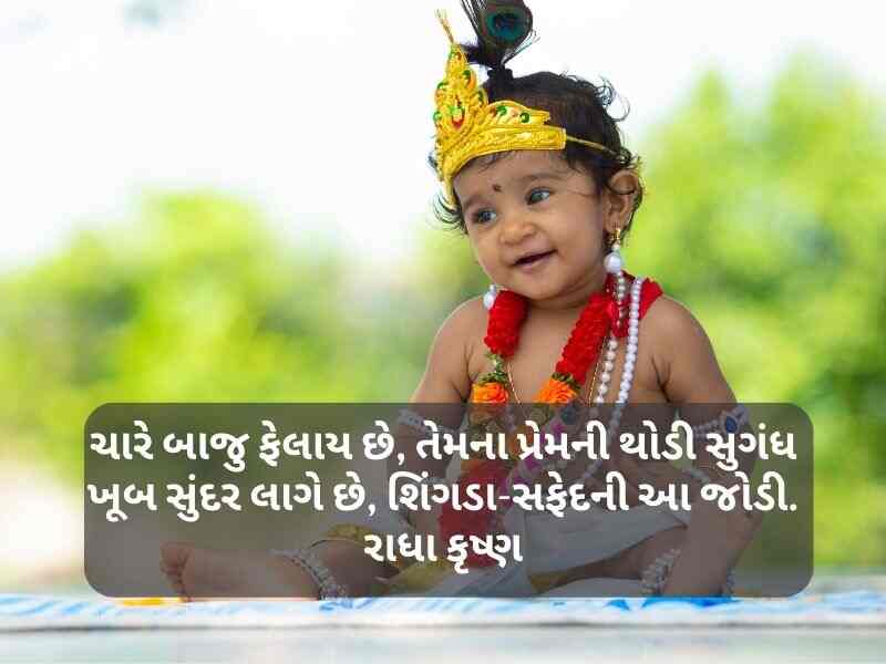Best 810+ કૃષ્ણ કોટ્સ ગુજરાતી Krishna Quotes in Gujarati Text | Shayari | Status | Images