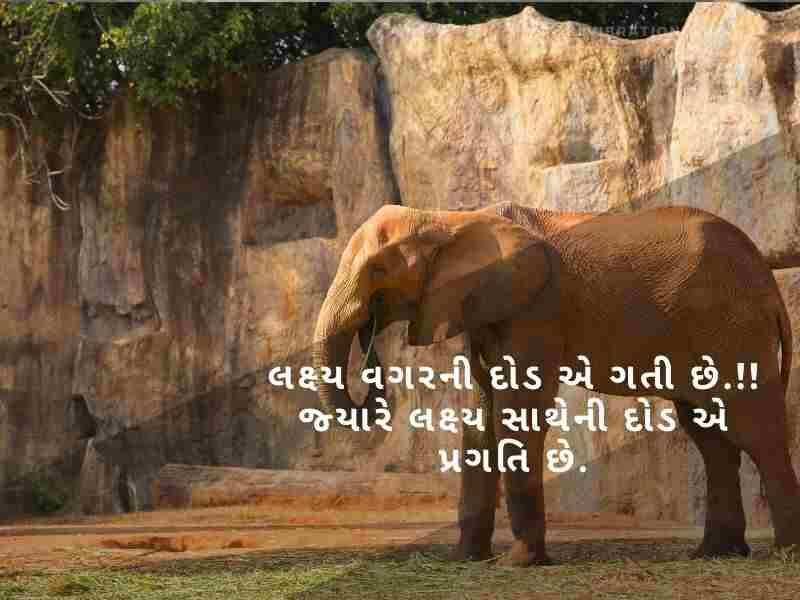 Best 606+ શુક્રવાર ગુડ મોર્નિંગ શુભકામનાઓ ગુજરાતી Friday Good Morning Wishes in Gujarati | Quotes | Shayari
