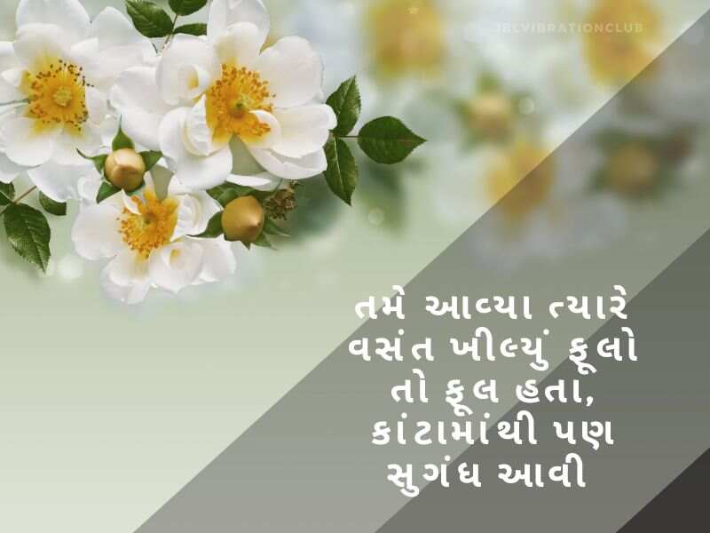 Best 202+ સ્વાગત શાયરી ગુજરાતી Welcome Shayari In Gujarati | Quotes | Wishes
